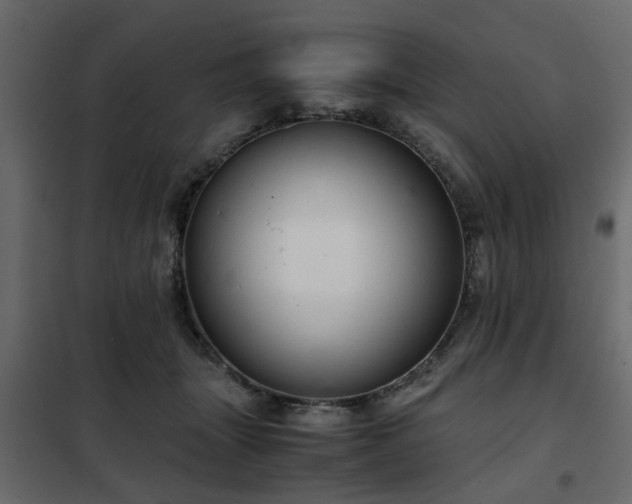 X0000102340463200808081135