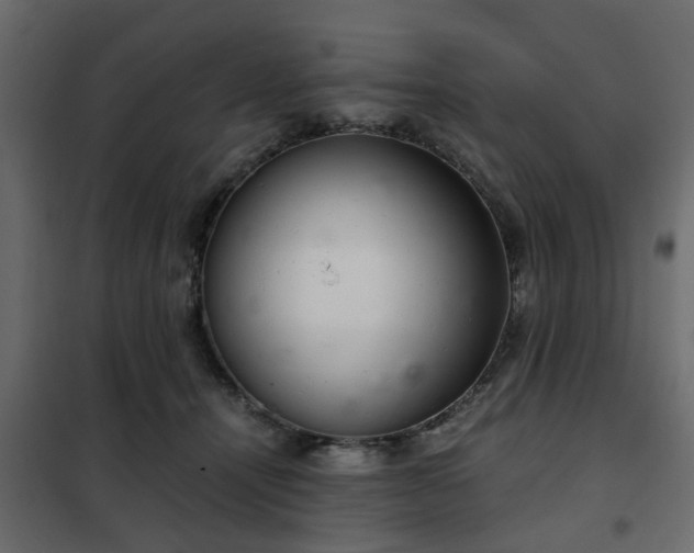 X0000102340464200808081135