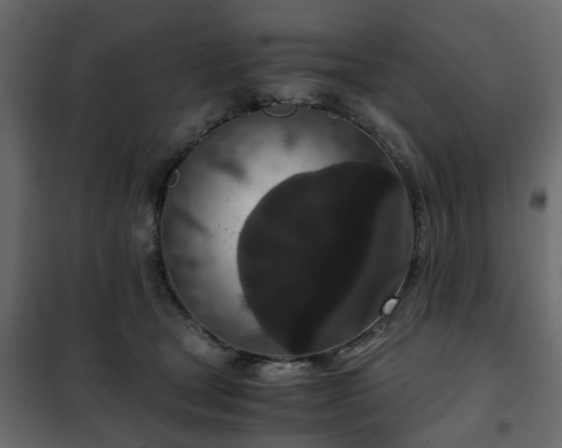 X0000102340465200808081135