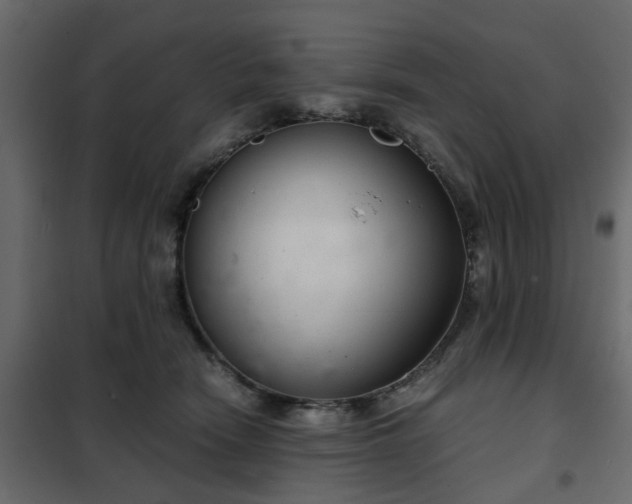 X0000102340466200808081135