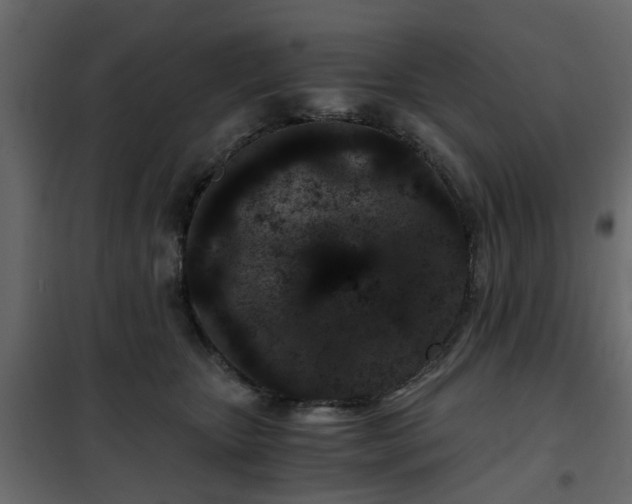 X0000102340467200808081135