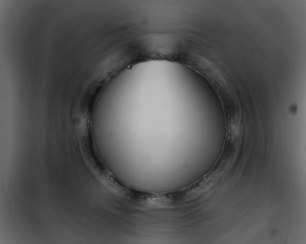 X0000102340468200808081135