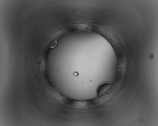 X0000102340469200808081135