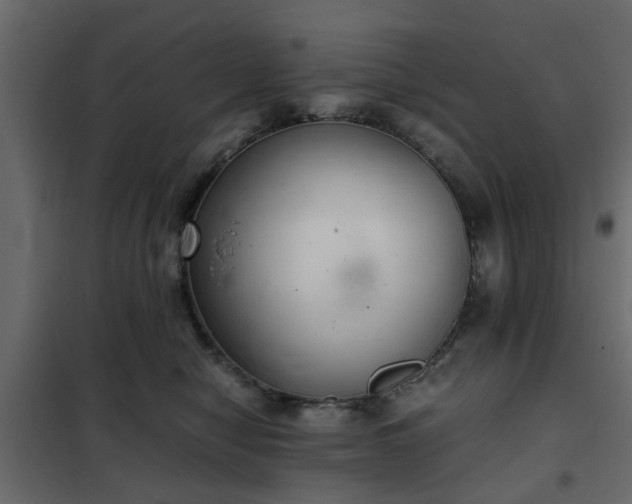 X0000102340470200808081135