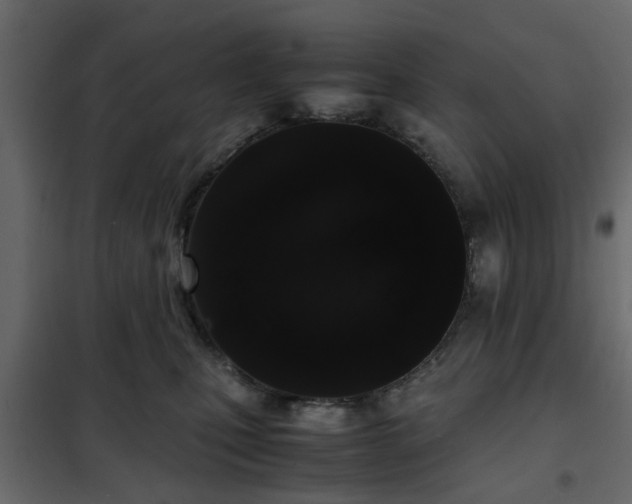 X0000102340471200808081135