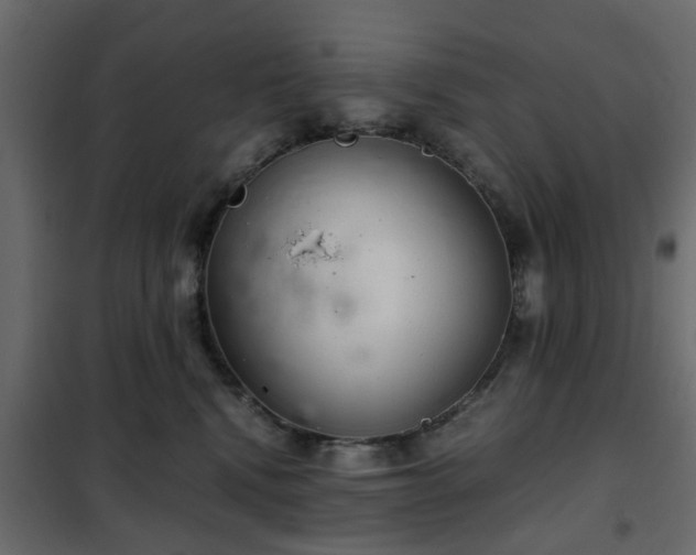 X0000102340472200808081135