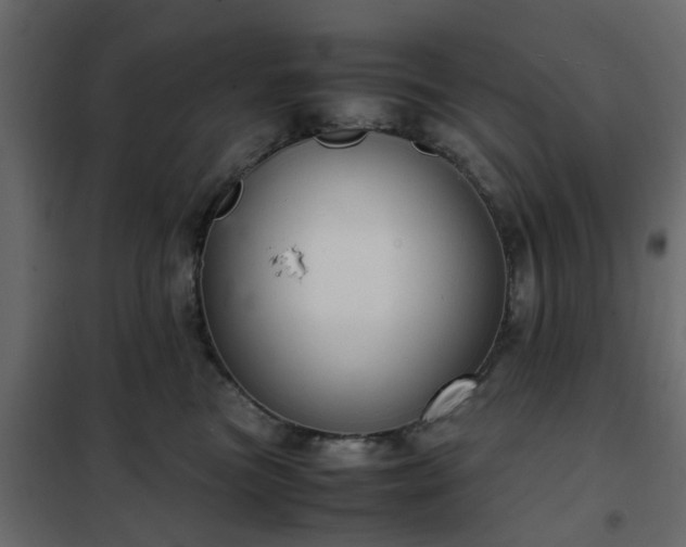 X0000102340473200808081135