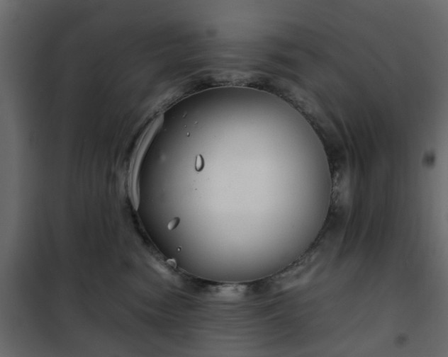 X0000102340474200808081135