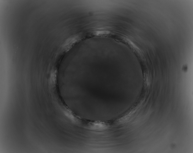 X0000102340475200808081135