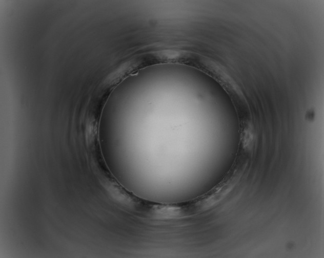 X0000102340476200808081135