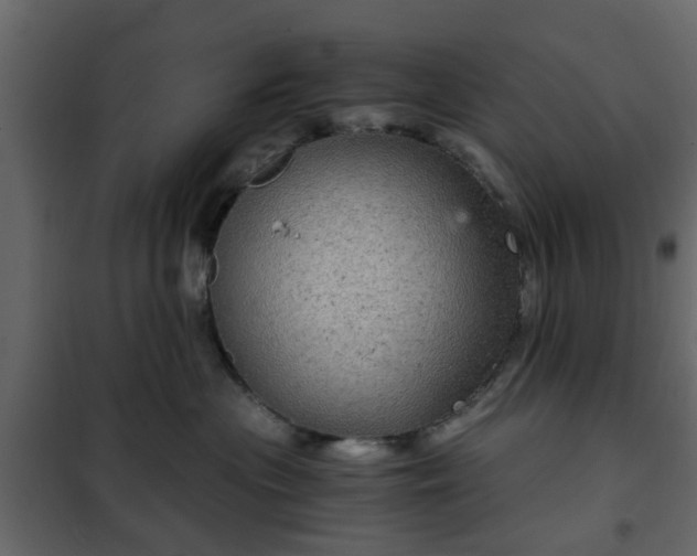 X0000102340477200808081135