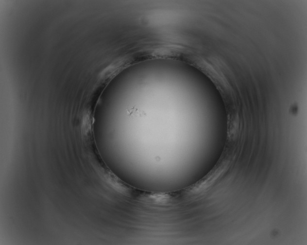 X0000102340478200808081135