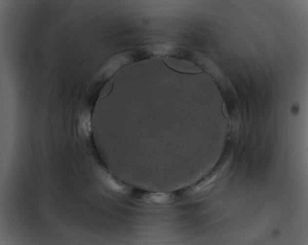 X0000102340479200808081135