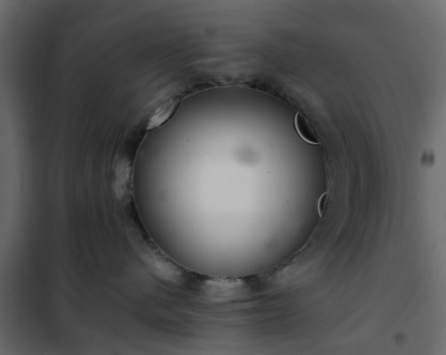 X0000102340480200808081135