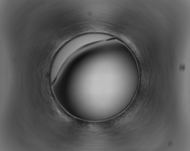 X0000102340481200808081134