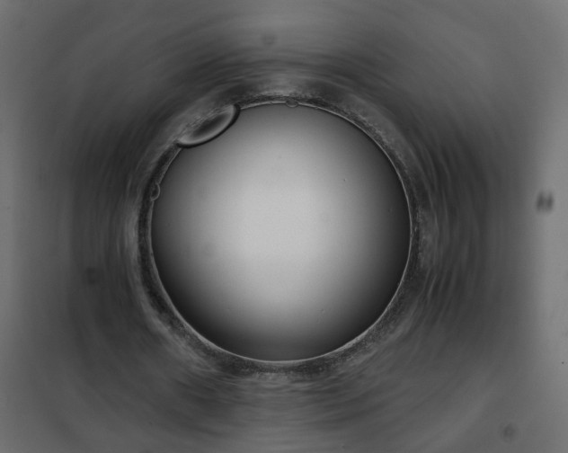 X0000102340482200808081134