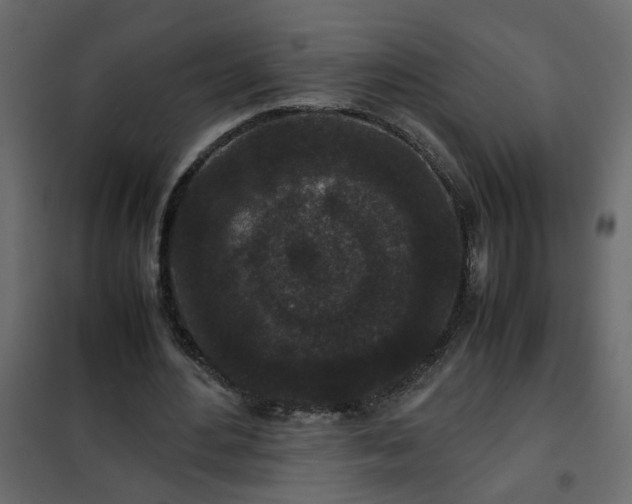 X0000102340484200808081134