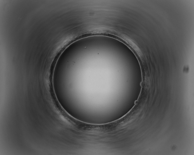 X0000102340485200808081134