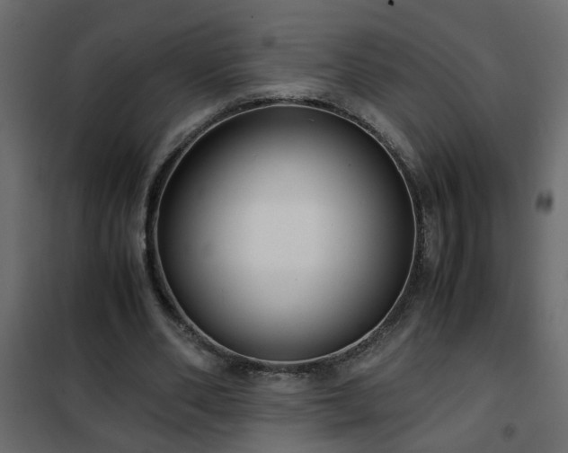 X0000102340486200808081134