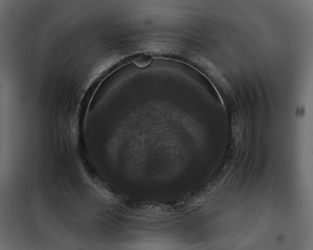 X0000102340488200808081134