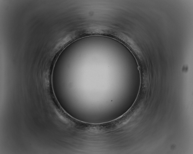 X0000102340489200808081134