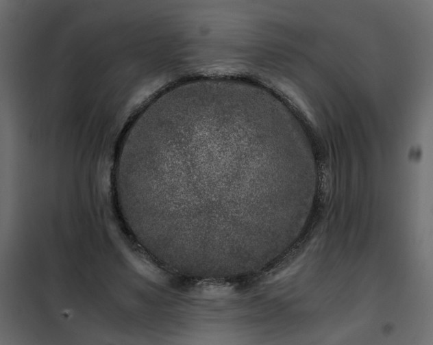 X0000102340491200808081134