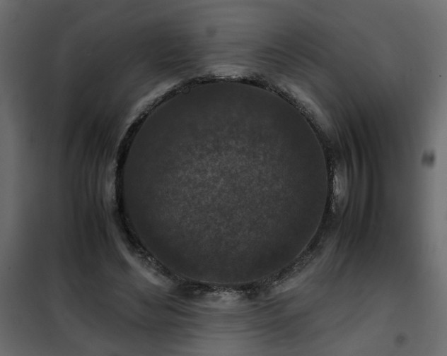 X0000102340492200808081134