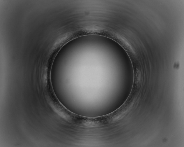 X0000102340494200808081134