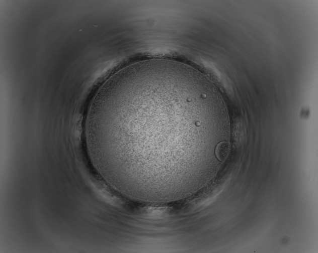 X0000102340495200808081134