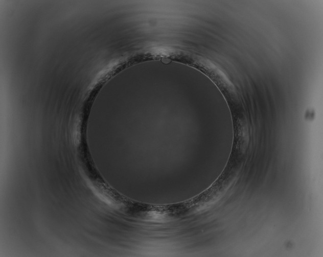 X0000102340496200808081134