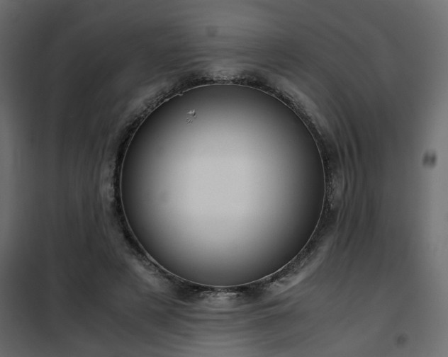 X0000102340497200808081134