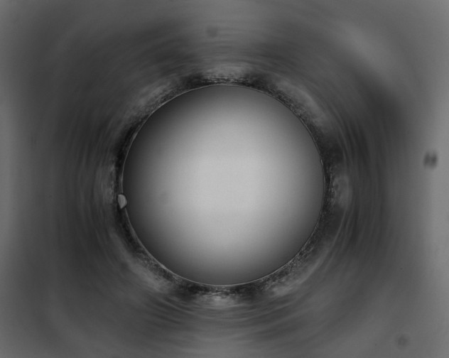 X0000102340498200808081134