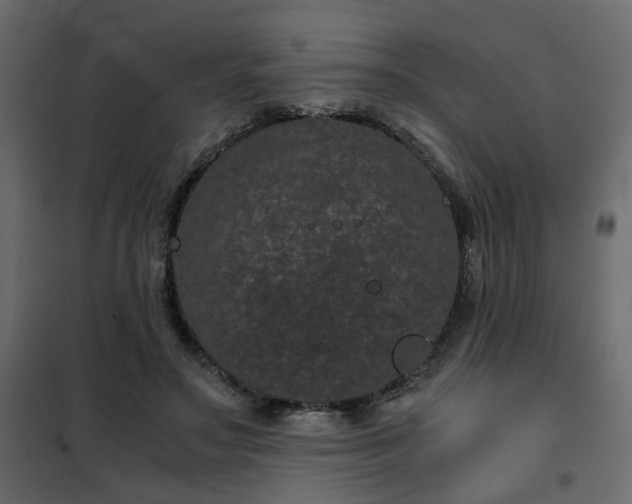 X0000102340499200808081134