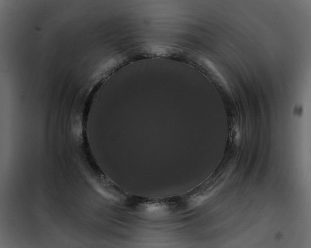 X0000102340500200808081134