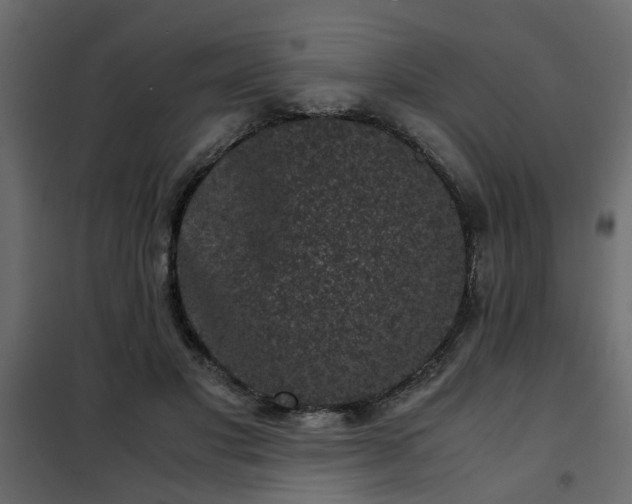 X0000102340501200808081134