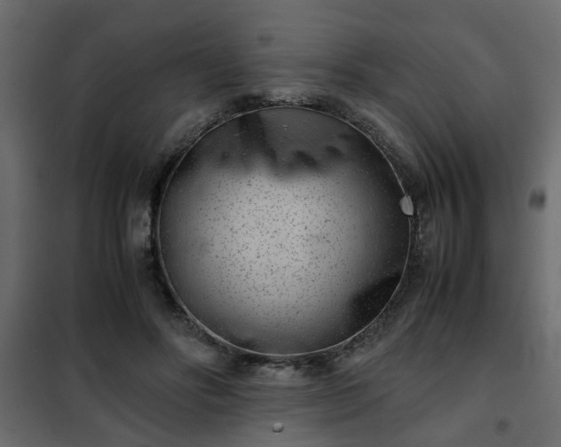 X0000102340502200808081134