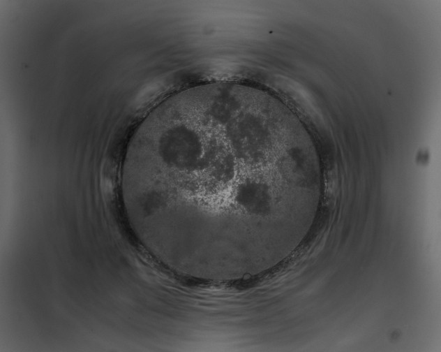 X0000102340503200808081134