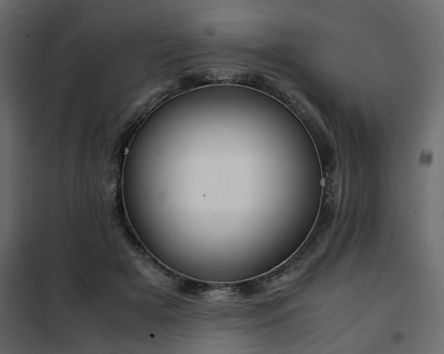 X0000102340505200808081134