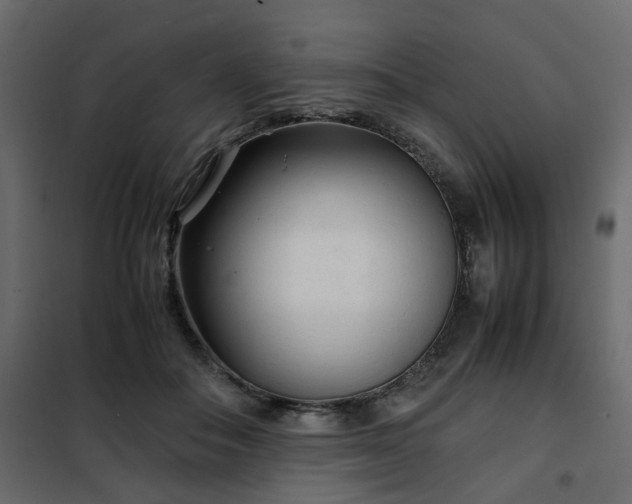 X0000102340506200808081134