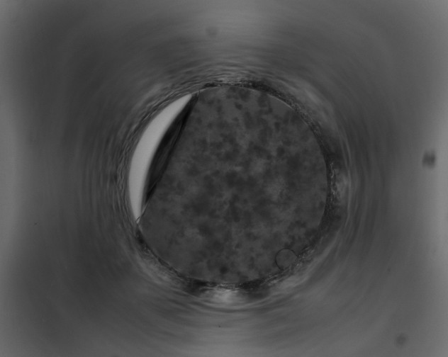 X0000102340507200808081134