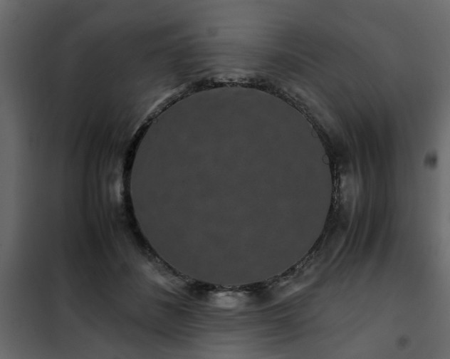 X0000102340508200808081134