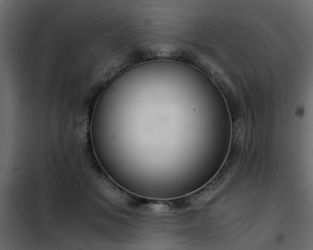 X0000102340509200808081134