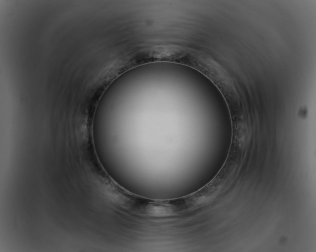 X0000102340510200808081134