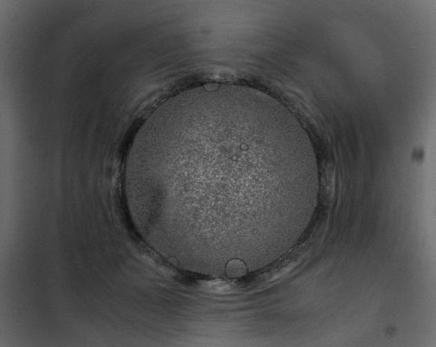 X0000102340511200808081134