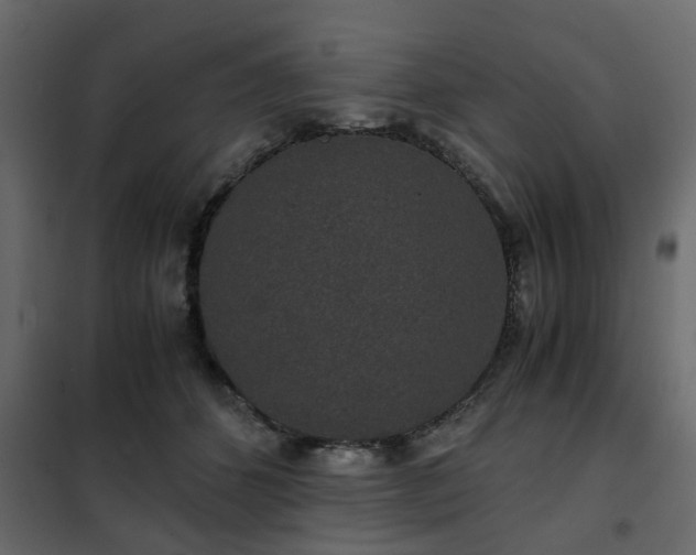 X0000102340512200808081134