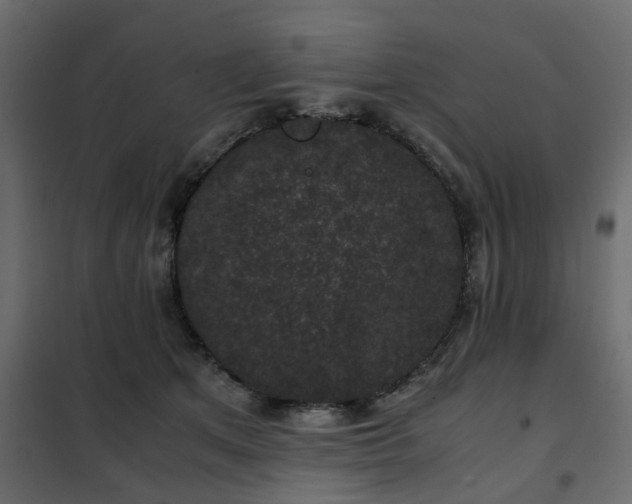 X0000102340513200808081134