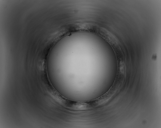 X0000102340514200808081134