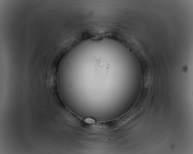 X0000102340515200808081134