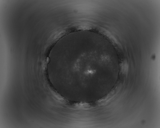 X0000102340517200808081134