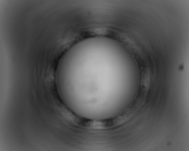 X0000102340518200808081134